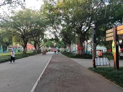 -南宁花花大世界景区