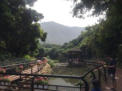 -月亮湾公园
