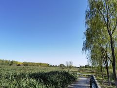 -永定河休闲森林公园