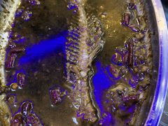 -宜城私房菜.臭鳜鱼(九华新街店)