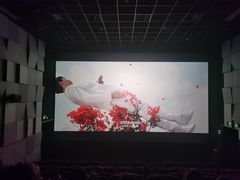 -傣妹休闲时尚火锅(星力壹号店)