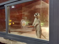 -酷嗒动物文化乐园(cutezoo西溪乐天城店)