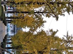 -百林公园-两江幸福广场