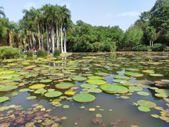 -中国科学院西双版纳热带植物园
