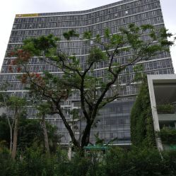 -深圳市妇幼保健院(红荔院区)