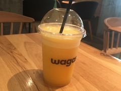 -Wagas沃歌斯(大学路店)