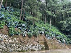 -寂照庵