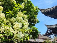 -常熟方塔园