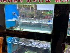 -全乐鱼馆·淳牌有机鱼直营店