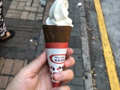 -富豪雪糕车流动点(尖沙咀店)