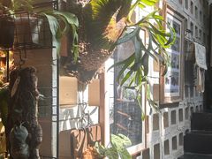 -自由生长植物工作室(深港花卉中心店)