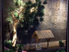 -湘与香缘·湖南菜(王府井北京市百货大楼店)