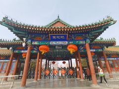 -莲花池公园