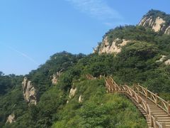 -大岭沟猕猴桃谷风景区