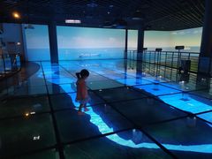 -上海长江河口科技馆