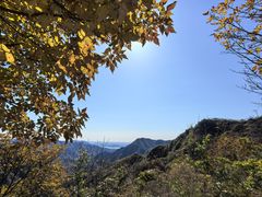 -大岭沟猕猴桃谷风景区