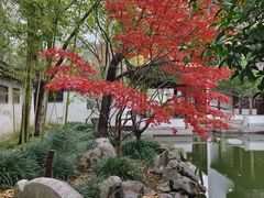 -秋霞圃