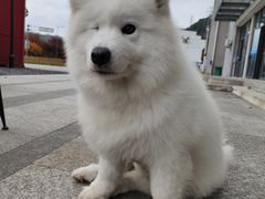 -四明山国家森林公园