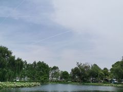 -金银湖国家城市湿地公园