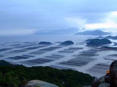 -北岐滩涂