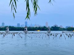 -齐汇维景大酒店游泳馆(山东政协大厦齐汇维景)