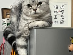 -乐宠动物医院