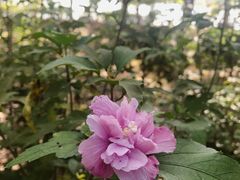 -白塘生态植物园