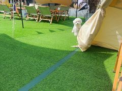 -CAMP.33露营烤肉·团建聚餐(创智天地店)