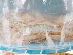 -正亮农家院·海鲜本地菜