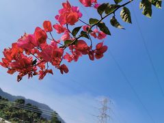 -觅境泰式spa