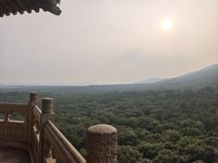 -灵谷景区