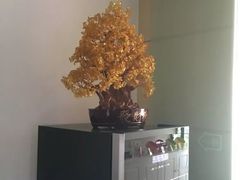 -宫七SPA·高端Massage(浦东大道店)