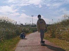 -春花秋色城市公园