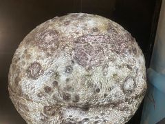 -辽宁古生物博物馆
