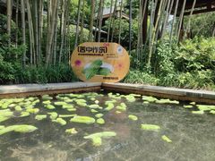 -深业半汤御泉庄温泉