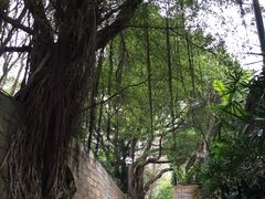 -九龙公园