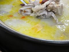 -15年老字号鑫鑫猪肚鸡·椰子鸡海南火锅(兴隆华侨农场店)