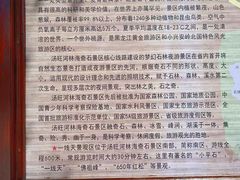 -汤旺河林海奇石景区
