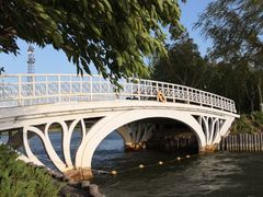 -大兴滨河森林公园