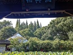 -上海醉白池公园