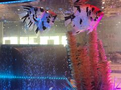 -新辉港式茶餐厅(北栅店)