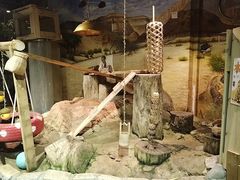 -正佳雨林生态植物园
