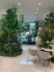 -MuseMarry婚纱(前海嘉里中心店)