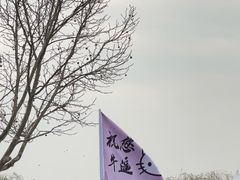 -济南方特东方神画