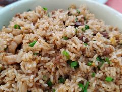 鹅肉饭-胜记烧鹅美食