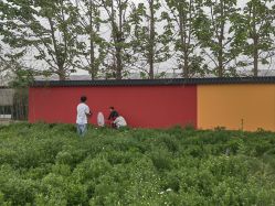 -DORA kids 朵拉儿童摄影花园店