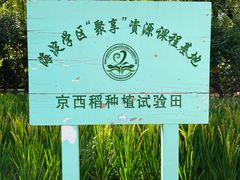 -海淀公园