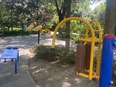 -大兴滨河森林公园