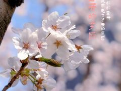 -龙美术馆(西岸馆)