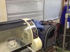 -康乐宝动物医院